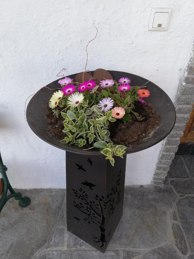 Fruehstueckspension Alpenrose Bed & Breakfast Iselsberg Zewnętrze zdjęcie