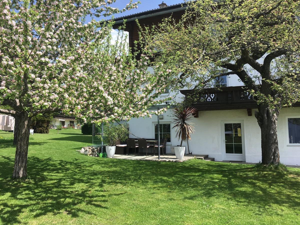 Fruehstueckspension Alpenrose Bed & Breakfast Iselsberg Zewnętrze zdjęcie